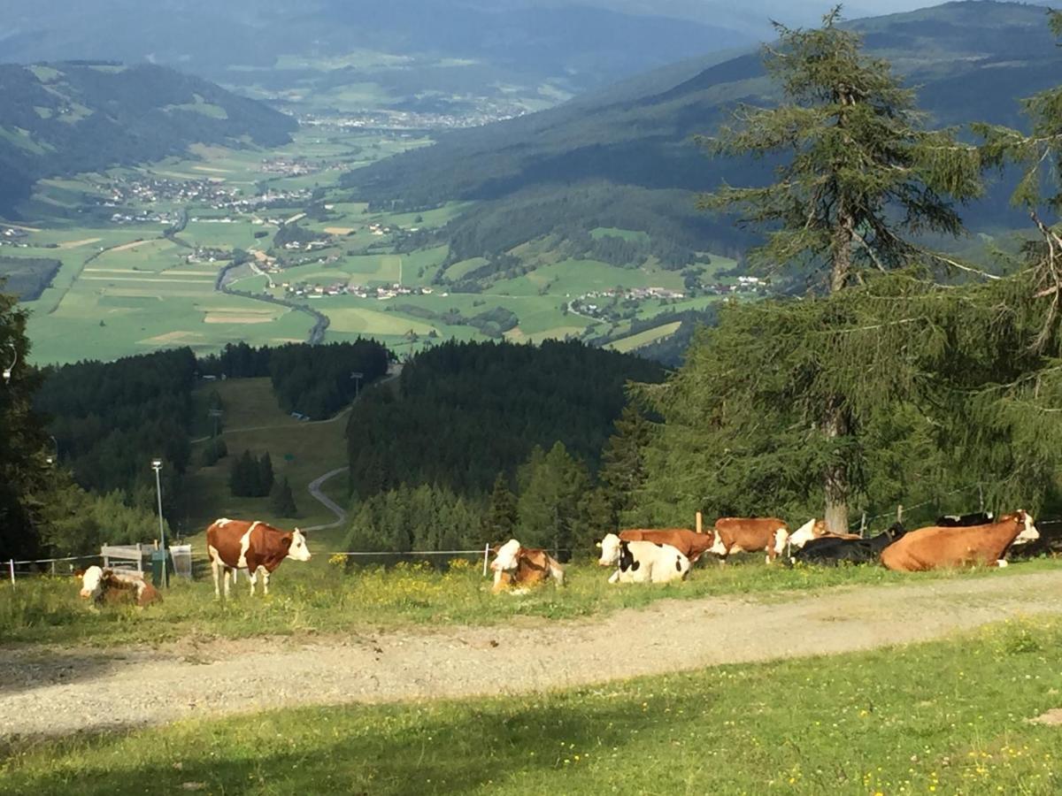 Landhaus Lungau ซังคท์มิคาอิลอิมลุงเกา ภายนอก รูปภาพ