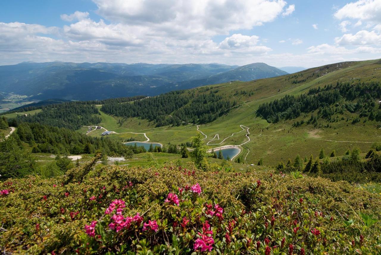 Landhaus Lungau ซังคท์มิคาอิลอิมลุงเกา ภายนอก รูปภาพ